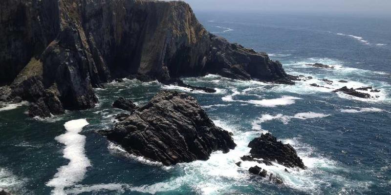 Optical Technique Characterizes Bacteria to Study Their Response to Antibiotics